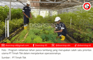 Reklamasi Lahan Pasca Tambang jadi Prioritas Utama PT Timah dalam Jalankan Operasional