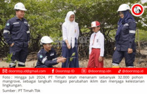 Mitigasi Perubahan Iklim, PT Timah Gencarkan Penanaman Mangrove