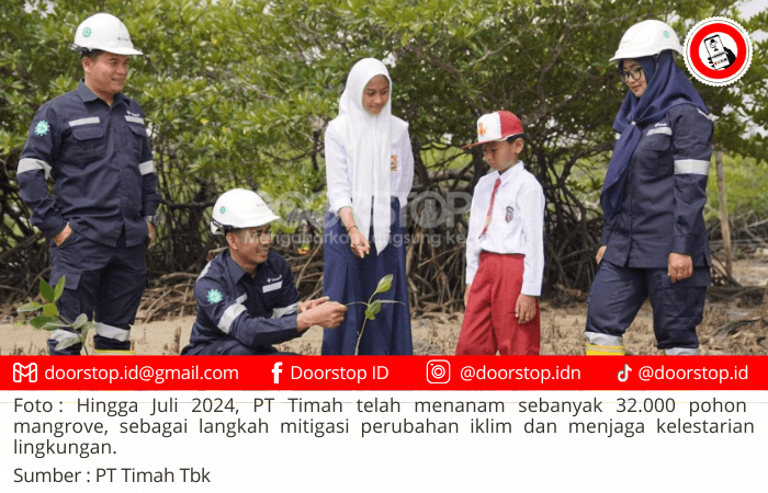 Mitigasi Perubahan Iklim, PT Timah Gencarkan Penanaman Mangrove