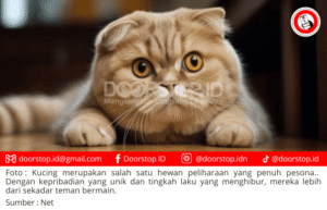 Kucing: Teman Setia dengan Beragam Manfaat