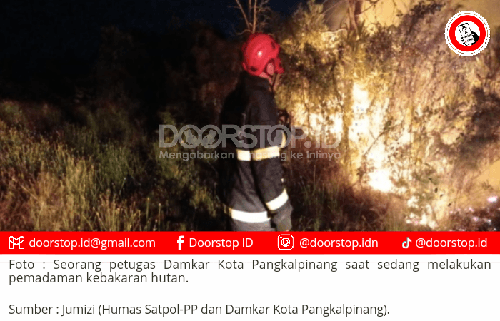 Kasus Kebakaran di Pangkalpinang Masih Didominasi Kebakaran Hutan dan Lahan