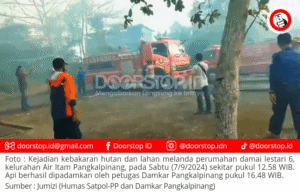 Kebakaran ini Hanguskan 22 Hektar Lahan dan 24 Mobil Aset Pemkot Pangkalpinang