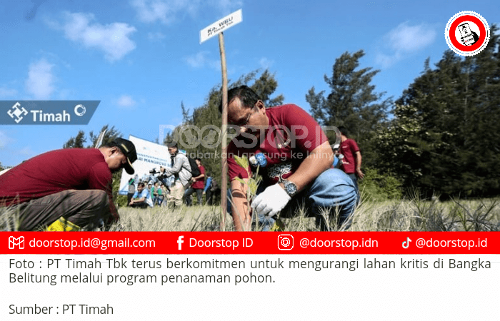 PT Timah Galakkan Penanaman Pohon untuk Kurangi Lahan Kritis di Bangka Belitung