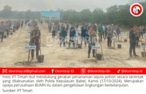 Dukung Pengelolaan Lingkungan Berkelanjutan, PT Timah Ikut Aksi Tanam Sejuta Pohon