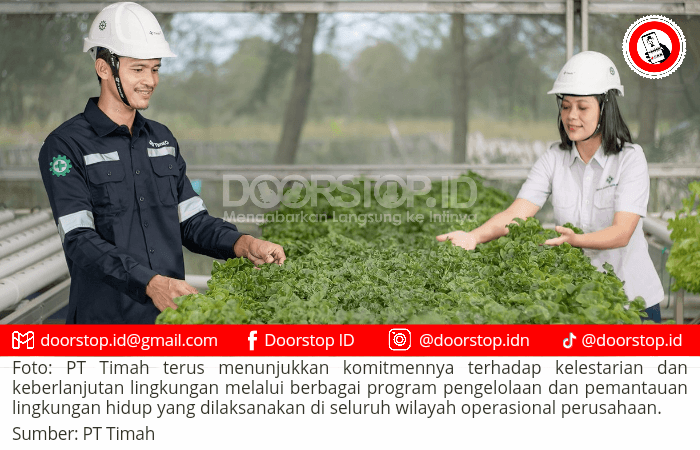 Langkah Hijau PT Timah, Pengelolaan Lingkungan untuk Masa Depan Berkelanjutan