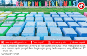 Pesona Kampong Reklamasi Selinsing, Bentuk Nyata Keberhasilan Kelola Lingkungan Berkelanjutan PT Timah