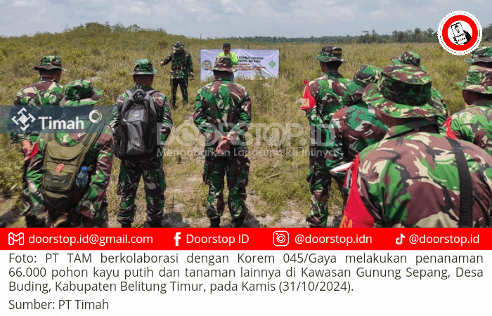 PT TAM Kolaborasi dengan Korem 045/Gaya Tanam 66.000 Pohon Kayu Putih