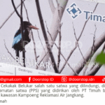 PT Timah Terus Berkomitmen Jaga Keanekaragaman Hayati dan Satwa di Wilayah Operasional