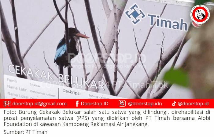 PT Timah Terus Berkomitmen Jaga Keanekaragaman Hayati dan Satwa di Wilayah Operasional