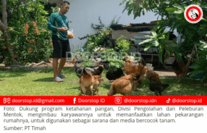 PT Timah Imbau Karyawan di Divisi Pengolahan dan Peleburan Mentok Manfaatkan Pekarangan Rumah untuk Bercocok Tanam