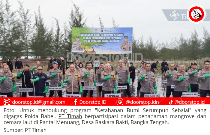 PT Timah dan Polda Babel Bersinergi, Tanam Ribuan Pohon untuk Cegah Abrasi