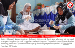 Mengangkat Potensi Lokal, Zulyanti dan PT Timah Kembangkan Inovasi Nanas Badau ke Pasar Global
