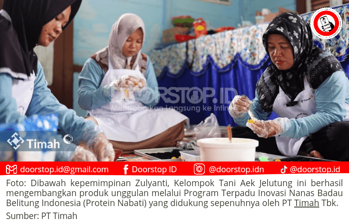 Mengangkat Potensi Lokal, Zulyanti dan PT Timah Kembangkan Inovasi Nanas Badau ke Pasar Global