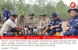 PT Timah Tanam 2.500 Mangrove di Kundur untuk Jaga Ekosistem Pesisir