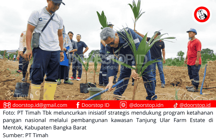 PT Timah Bangun Tanjung Ular Farm Estate untuk Mendukung Ketahanan Pangan Nasional