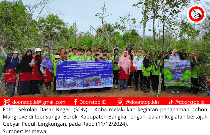 SDN 1 Koba Gelar Gebyar Peduli Lingkungan, Tanam 150 Bibit Mangrove di Sungai Berok