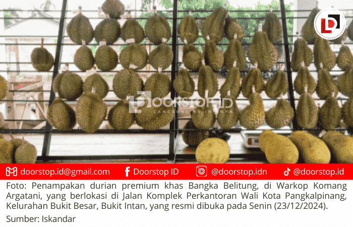 Nikmati Sensasi Ngopi Santai dan Durian Premium di Warkop Komang Argatani Pangkalpinang