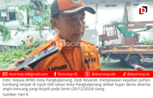 Pohon Tumbang Terjadi di Tujuh Lokasi di Pangkalpinang, Sebabkan Dua Pengendara Motor Tewas hingga Satu Warkop Rusak