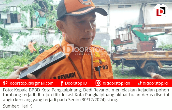 Pohon Tumbang Terjadi di Tujuh Lokasi di Pangkalpinang, Sebabkan Dua Pengendara Motor Tewas hingga Satu Warkop Rusak