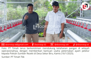 Komitmen Support Ketahanan Pangan, PT Timah Salurkan Bantuan Usaha Budidaya Ayam Petelur Ke Poktan Sumber Rezeki Desa Sekar Biru