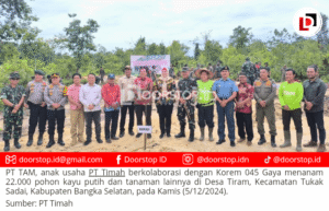 PT TAM Kolaborasi Bersama Korem 045 Gaya Tanam Pohon Kayu Putih, Rehabilitasi DAS di Bangka Selatan