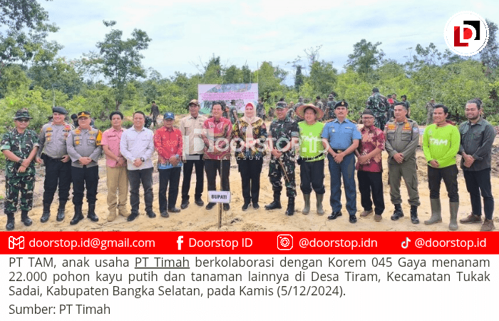 PT TAM Kolaborasi Bersama Korem 045 Gaya Tanam Pohon Kayu Putih, Rehabilitasi DAS di Bangka Selatan