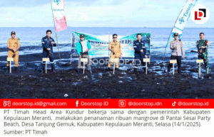 Cegah Abrasi, PT Timah dan Pemkab Kepulauan Meranti Tanam Ribuan Mangrove di Pantai Sesai Party Beach
