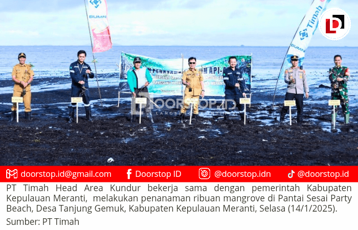 Cegah Abrasi, PT Timah dan Pemkab Kepulauan Meranti Tanam Ribuan Mangrove di Pantai Sesai Party Beach