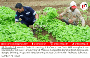 Farm Estate Tanjung Ular PT Timah, Manfaatkan Lahan Untuk Dukung Asta Cita