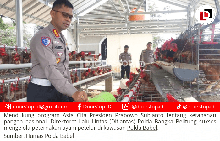 Ditlantas Polda Babel Panen Telur Ayam, 480 Butir Telur Dibagikan ke Masyarakat