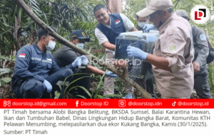 Kolaborasi untuk Konservasi, PT Timah Dukung Pelepasliaran Satwa Endemik di Hari Primata