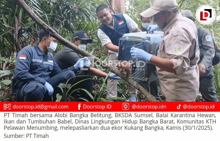 Kolaborasi untuk Konservasi, PT Timah Dukung Pelepasliaran Satwa Endemik di Hari Primata