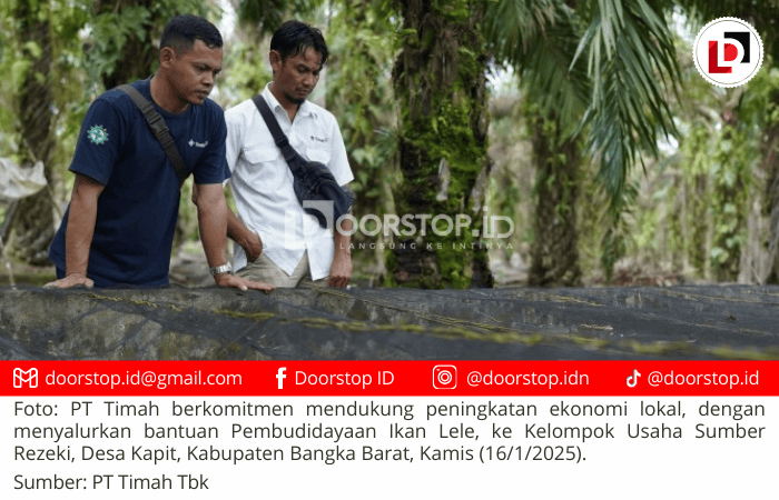 Dukung Peningkatan Ekonomi Lokal, PT Timah Salurkan Bantuan Pembudidayaan Lele ke Kelompok Usaha Desa Kapit