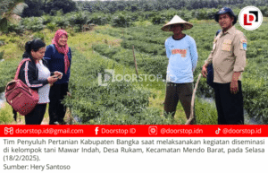 Tim Penyuluh Pertanian Kabupaten Bangka Lakukan Diseminasi ke Kelompok Tani Mawar Indah