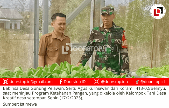 Tinjau Program Ketahanan Pangan, Babinsa Gunung Pelawan Harapkan Ekonomi Masyarakat Meningkat