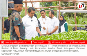 Dorong Pemberdayaan Ekonomi Lokal, PT Timah Gerakkan Program Hidroponik Bagi Kelompok Perempuan di Desa Sawang Laut