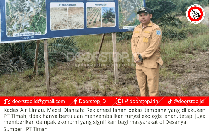 PT Timah Gandeng Pemdes Air Limau, Sulap Lahan Eks Tambang Jadi Kawasan Perkebunan Kelapa Sawit