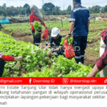 Farm Estate Tanjung Ular Ciptakan Lapangan Pekerjaan Bagi Masyarakat