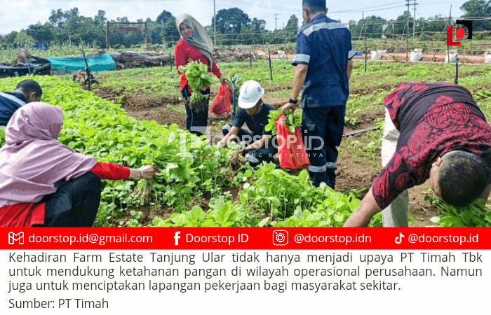 Farm Estate Tanjung Ular Ciptakan Lapangan Pekerjaan Bagi Masyarakat
