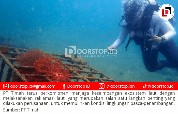 Jaga Ekosistem Pesisir, PT Timah Tenggelamkan Ribuan Terumbu Karang Buatan dalam Lima Tahun Terakhir