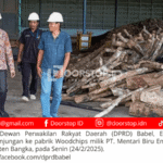 DPRD Babel Dukung Produksi Woodchips untuk Co-Firing PLTU Air Anyir