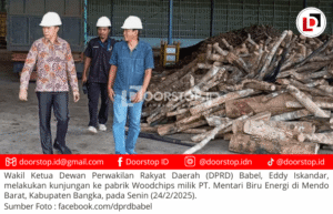DPRD Babel Dukung Produksi Woodchips untuk Co-Firing PLTU Air Anyir