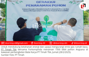Dukung Ketahanan Energi, PT Timah Tbk dan Forkompinda Tanam 1.500 Pohon Angsana