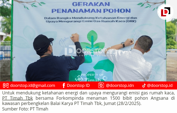 Dukung Ketahanan Energi, PT Timah Tbk dan Forkompinda Tanam 1.500 Pohon Angsana