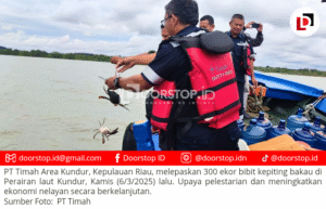 PT Timah Tebar 300 Bibit Kepiting Bakau di Pantai Kundur, Dukung Keberlanjutan Sumber Ekonomi Nelayan