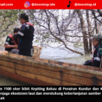 PT Timah Lepaskan Ribuan Bibit Kepiting Bakau di Perairan Kundur dan Karimun