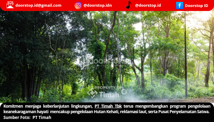 PT Timah Perkuat Upaya Pelestarian Lingkungan Lewat Hutan Kehati dan Reklamasi Laut