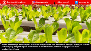 Ide Bisnis Pertanian Modal Kecil yang Menjanjikan, Apa Saja?