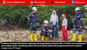 Aksi Nyata PT Timah: Tanam Ratusan Ribu Mangrove, Dukung Target Net Zero Emission