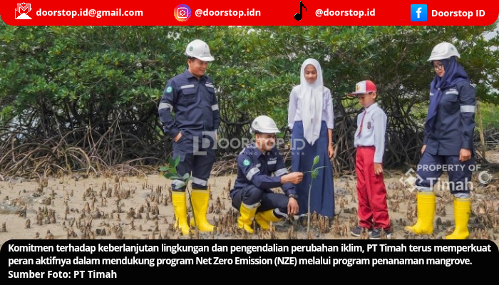 Aksi Nyata PT Timah: Tanam Ratusan Ribu Mangrove, Dukung Target Net Zero Emission